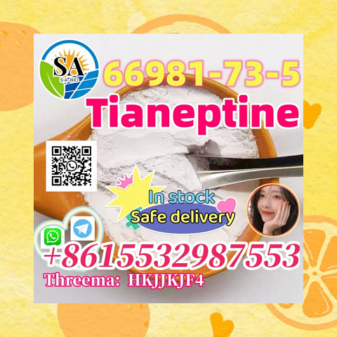 CAS 66981-73-5 Tianeptine In stock ( Whatsapp:+8615532987553 )