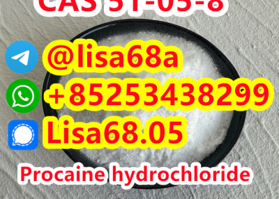 CAS 51-05-8 Procaine hydrochloride C13H21ClN2O2