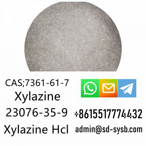 cas 23076-35-9 Xylazine Hydrochloride Manufacturer High quality supplier in China