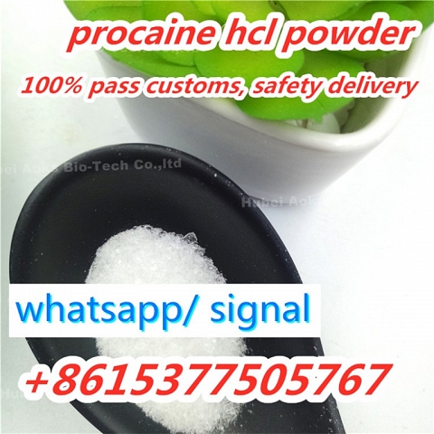 Procaine hcl powder 51-05-8 procaine hydrochloride