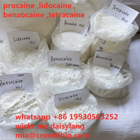 procaine supplier in China ( whatsapp +86 19930503252