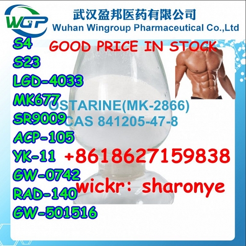 +8618627159838 Sarms Powder Steriod Powder Bodybuilding Muscle Growth with Good Price