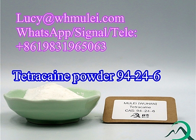 Tetracaine Powder CAS 94-24-6 Local Anesthetic Chemical Raw Material Tetracaine for Pain Killer 