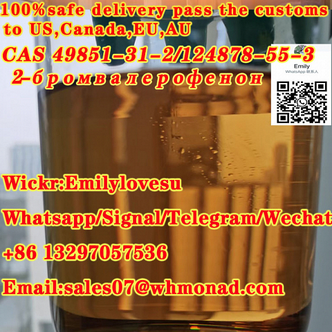 49851-31-2/124878-55-3/2-Bromovalerophenone Cas 49851-31-2 Russia Stock