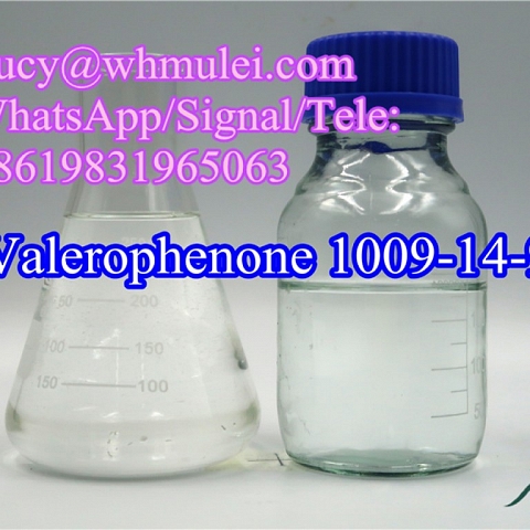 Butyl Phenyl Ketone CAS 1009-14-9 China Raw Organic Reagent Valerophenone in Safety Delivery