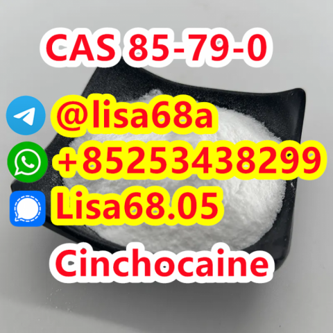 CAS 85-79-0 Cinchocaine C20H29N3O2