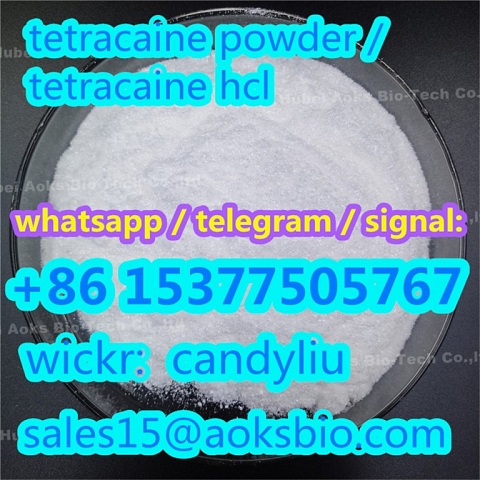 Amethocaine tetracaine with best price, China tetracaine powder 94-24-6