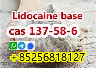 向欧洲安全销售 Cas 137586 利多卡因碱