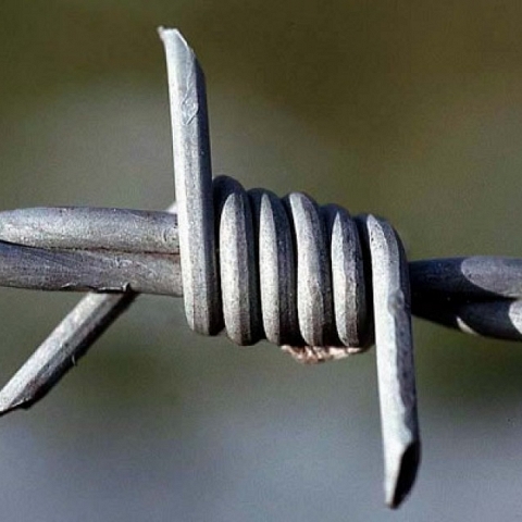 Barbed wire for security fencing