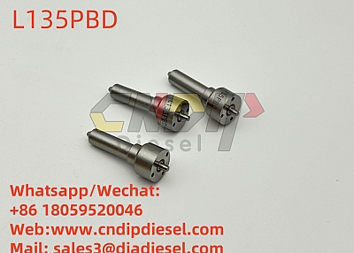 L135PBD repair kits Common Rail L135PBD L136PBD L137PBD L138PBD For DELPHI injection nozzle 