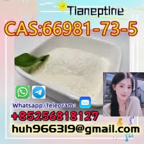 Sell high quality CAS66981-73-5 Tianeptine with best price China supplier