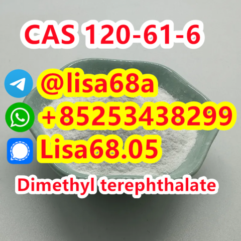 CAS 120-61-6 Dimethyl terephthalate C10H10O4