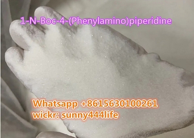 1-N-Boc-4-(Phenylamino)piperidine CAS125541-22-2