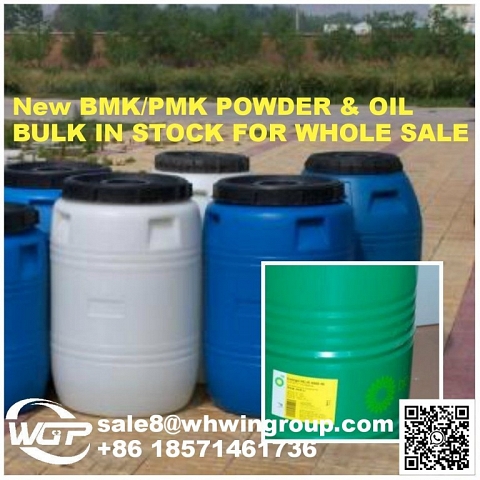 49851-31-2 2-BROMO-1-PHENYL-PENTAN-1-ONE PMK WA+86 18571461736