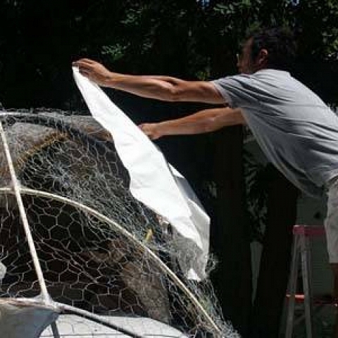 Chicken Wire Sculpture Used as Frame for Plants, Floats