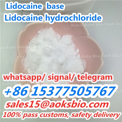 China factory supply 99.5% purity lidocaine hcl powder