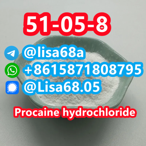 CAS 51-05-8 Procaine hydrochloride C13H21ClN2O2