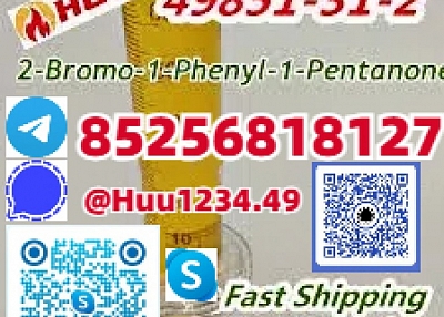 CAS 49851-31-2 2-Bromo-1-Phenyl-1-Pentanone 2-Bromovalerophenone Yellow Liquid Supplier 49851-31-2 F