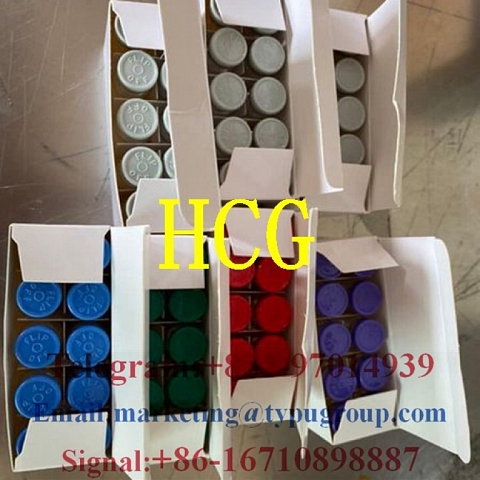 Chorionic gonadotropin HCG CAS:9002-61-3 Telegram/Whatsapp:+852-97014939