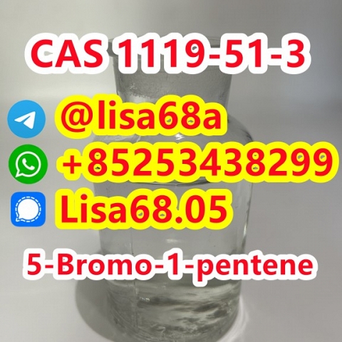 CAS 1119-51-3 5-Bromo-1-pentene C5H9Br