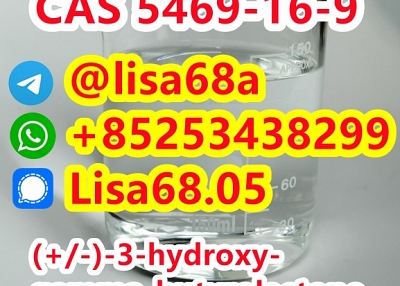 CAS 5469-16-9 (+/-)-3-hydroxy-gamma-butyrolactone C4H6O3