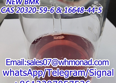 CAS 20320-59-6/16648/5413-05-8，bmk oil,bmk powder,new bmk 