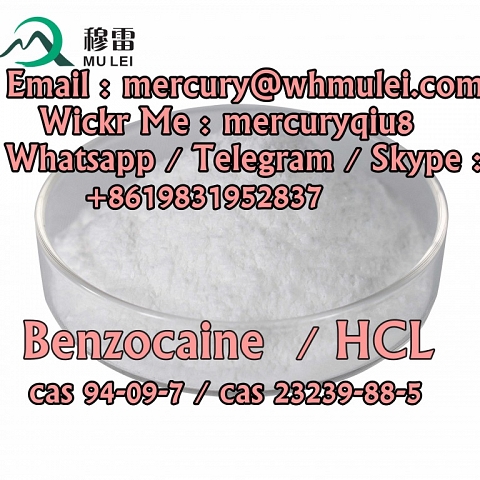  benzocaine purity benzocaine hcl  benzocaine hcl powder  Benzocaine Hydrochloride powder 