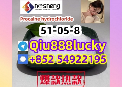 51-05-8  Procaine hydrochloride 