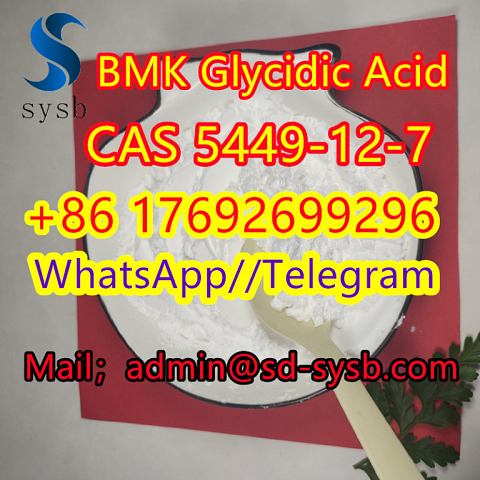 5449-12-7  BMK Glycidic Acid    