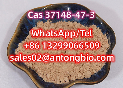 CAS 37148-47-3 4-Amino-3,5-dichlorophenacylbromide C8H6BrCI2NO