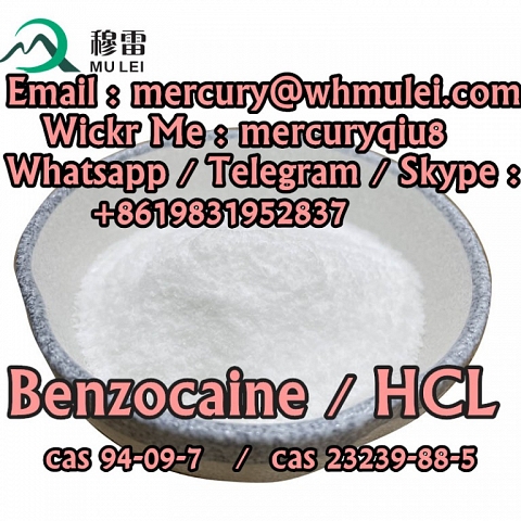  benzocaine purity benzocaine hcl  benzocaine hcl powder  Benzocaine Hydrochloride powder 