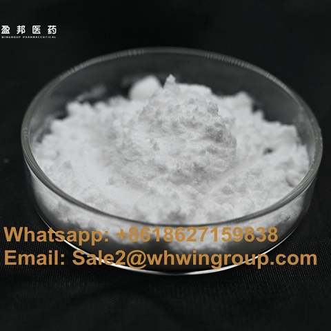 New Arrival BMK 5413-05-8 BMK Glycidate New BMK Powder