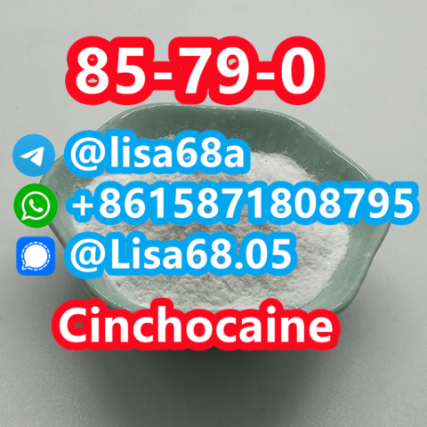 CAS 85-79-0 Cinchocaine C20H29N3O2