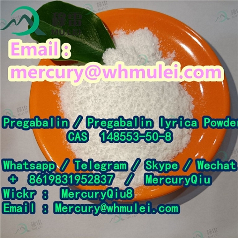 Best Quality Nootropics Raw Material Pregabalin powder cas 148553-50-8