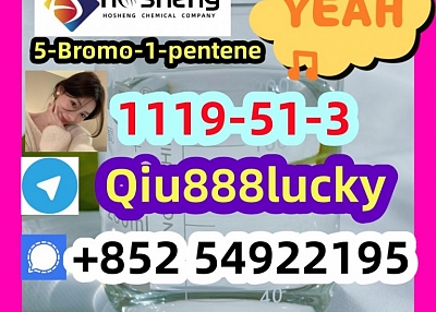 1119-51-3 5-Bromo-1-pentene 