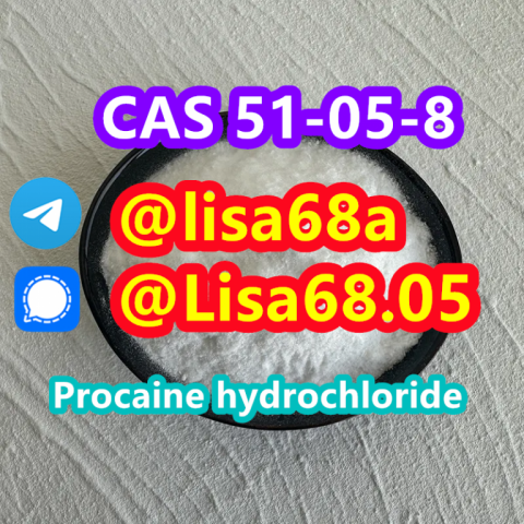 CAS 51-05-8 Procaine hydrochloride C13H21ClN2O2