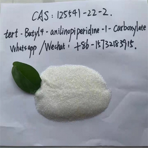 The Best Price of 1-Boc-4- (Phenylamino) Piperidine CAS No 125541-22-2 99% White powder