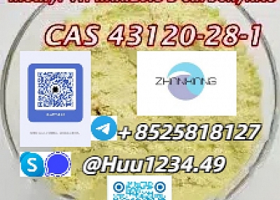 1H-吲唑-3-羧酸甲酯 CAS 43120-28-1