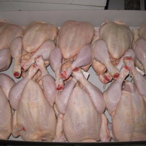 Pollo entero congelado de la calidad superior, pies del pollo, alas, piernas para la venta