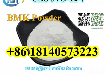 CAS 5449-12-7 BMK Glycidic Acid (sodium salt) With Best Price