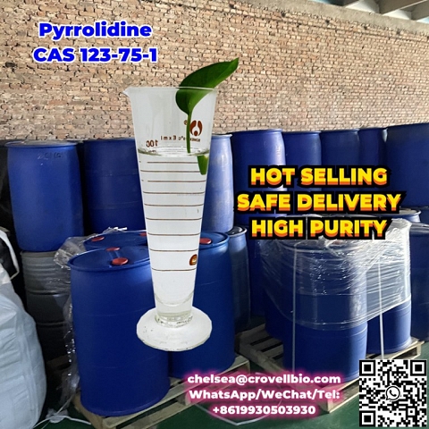 Chinese Manufacturer Pyrrolidine price CAS 123-75-1 supply. WhatsApp:+8619930503930