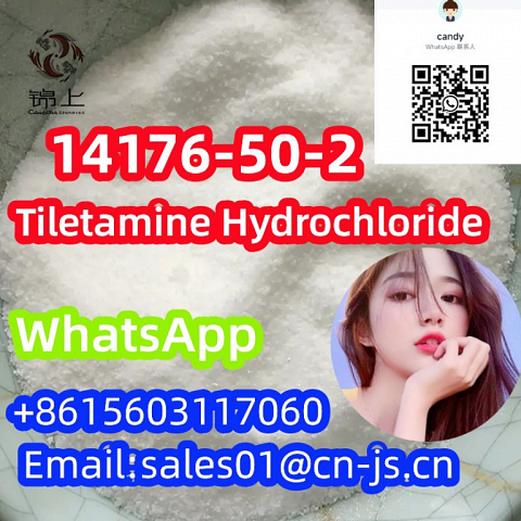 competitive price Tiletamine Hydrochloride CAS 14176-50-2 