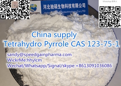 China supply Tetrahydro Pyrrole CAS 123-75-1,whatsapp:+8613091036086,sandy@speedgainpharma.com