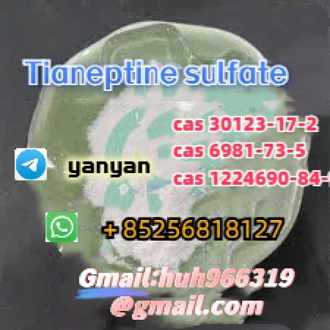 Venta de materia prima de sulfato de tianeptina CAS 66981-73-5