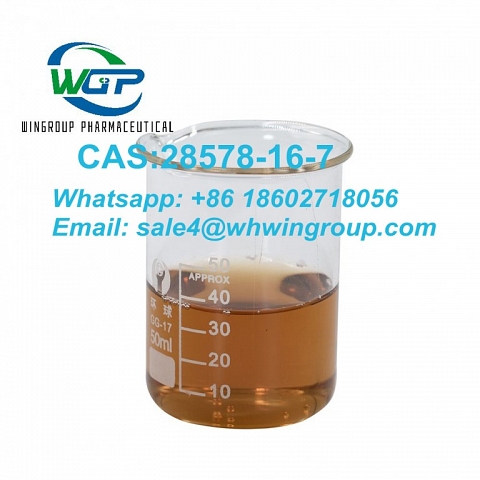 Supply PMK Oil CAS:28578-16-7 with Safe Delivery Hot Selling to Canada/Europe