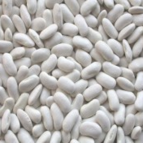 White Kinney Beans