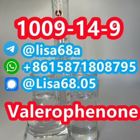 CAS 1009-14-9 Valerophenone C11H14O