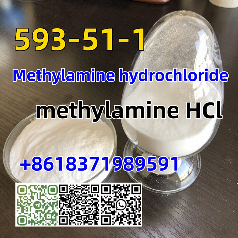 CAS 593-51-1 Methylamine hydrochloride LT-S9151 good price with high qualtiy