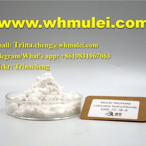 Shiny phenacetin powder crystal phenacetin supplier in China CAS 62-44-2