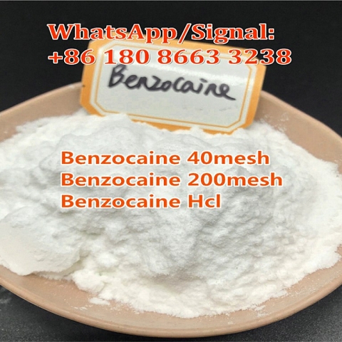 China supply Benzocaine CAS 94-09-7